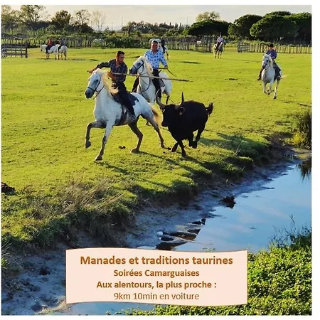 Club 4 Personnes Climatisation Wi-fi Piscine - Rossiconciergerie - Linge Inclus La Grande-Motte